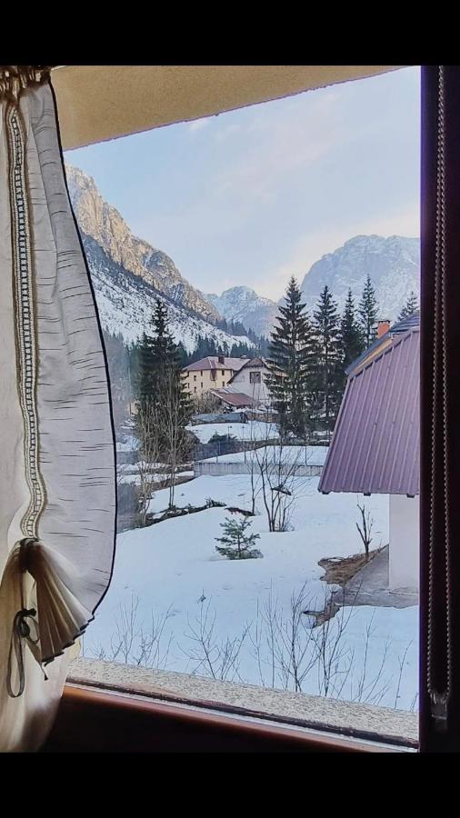 Home Predil Tarvisio Zewnętrze zdjęcie